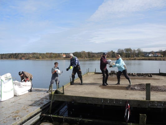 Arbeitseinsatz am Flussseeschwalbenfloß (Foto: LBV Starnberg)