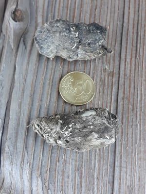 Schleiereulengewölle