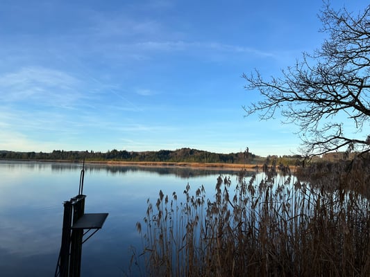 Maisinger See (Foto: Ursula Wiegand)