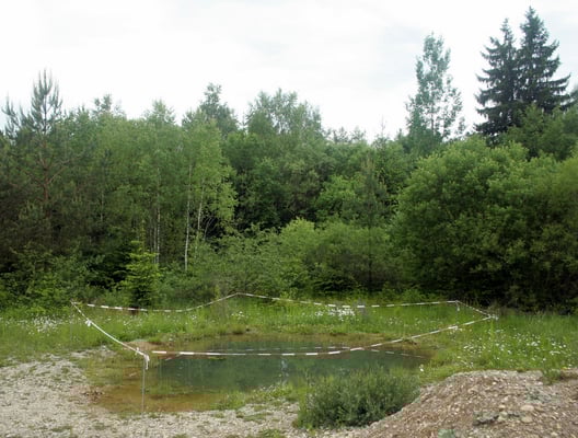 künstlich angelegtes Laichgewässer