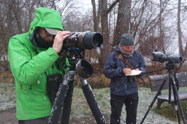 Wasservogelzählung (Foto: Andreas Fischer)