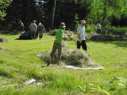 Landschaftspflege im Pioniergelände Krailling (Foto: LBV Starnberg) 