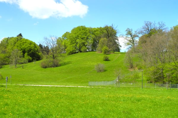 Kalkmagerrasen (Foto: Horst Guckelsberger) 