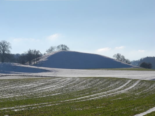 Die charakteristische „Walbuckelform“ eiszeitlicher Drumlins (Foto: Horst Guckelsberger)