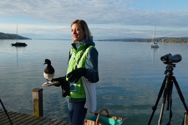 Die LBV-Gebietsbetreuerin bei einer Info-Veranstaltung an der Roseninsel (Foto:LBV Starnberg) 