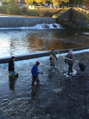 Die fleissigen Helfer unseres Vereins am Ende der Teststrecke