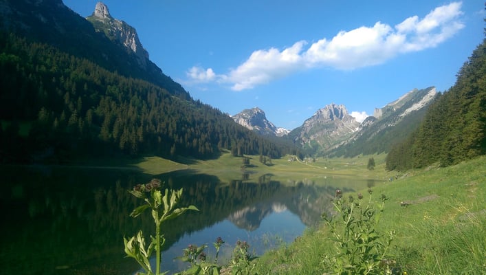 Der Sämtisersee in voller Pracht