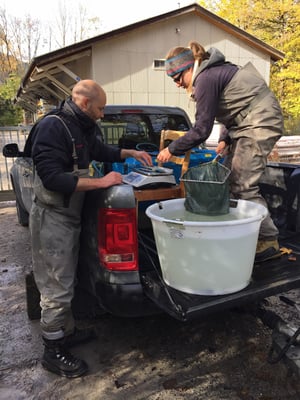 Stefan Werner und Katarina Varga an der Arbeit