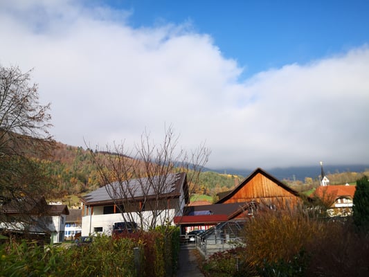 Forellen fischen Jura Gasthof Reh