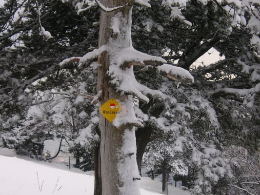 Nachtskifahren oder Alpakatrekking Seilpark Berghütte mieten Seminarhaus Massenlager - der Balmberg Top!