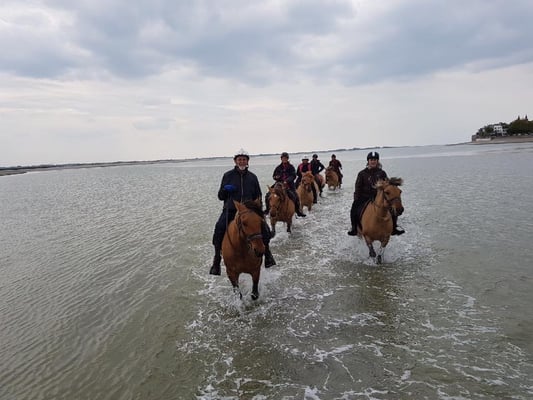 Sortie Nature à cheval Henson 