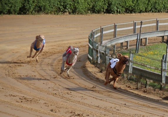 Fou'ad unter der weissen Decke