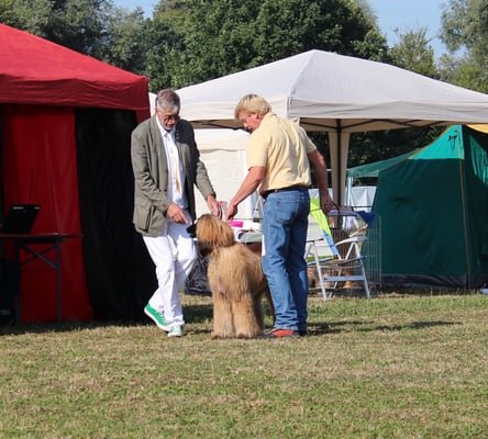 Gerhard mit Yaron in der Einzelbewertung