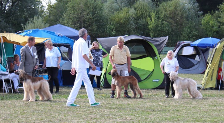 Gerhard mit Yra in der Zwischenklasse
