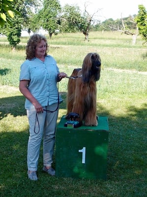Mit ihrem zweiten Platz am Rennen und der guten Bewertung aus der Ausstellung konnte Venya S + L gewinnen