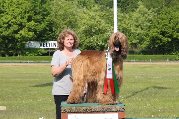 Venya el Sahir gewinnt Schönheit und Leistung