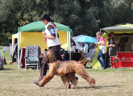 Yamei Jeannie in Aktion