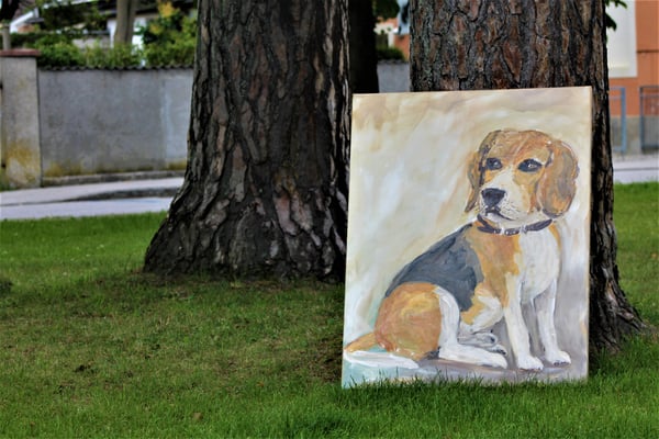 Monty im Stadtpark 2