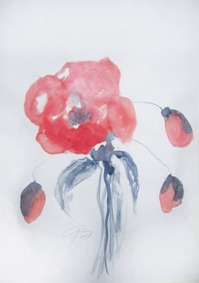 Mohn Aquarell auf Papier, 60 x 80