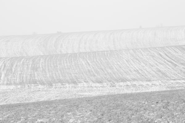 Lines´n´Curves Series III