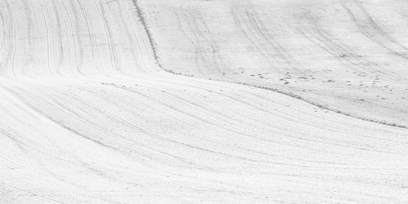 Lines´n´Curves Series I