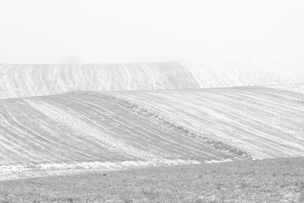 Lines´n´Curves Series IV