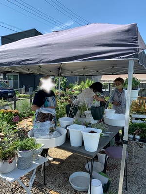 ハンギングバスケットワークショップ