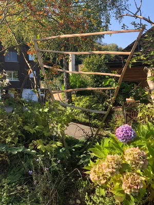 Sichtschutz/Rankengerüst aus Kastanienholz