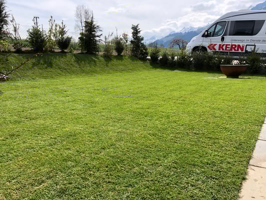 Frisch verlegter Rollrasen