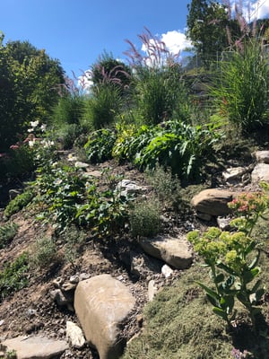 Böschungsbepflanzung