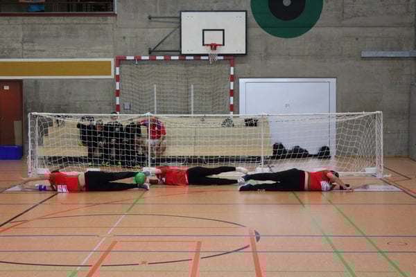 Anices in der Abwehr