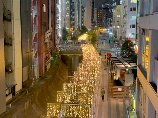 渋谷寮前を流れる渋谷川がまるで天の川のよう☆☆☆