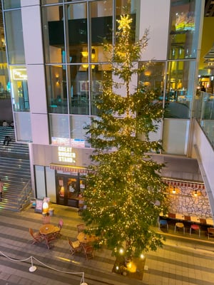 渋谷ストリーム前広場には地上4階分はあろうかというXmasツリーが🎄