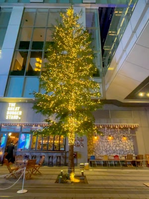 渋谷ストリーム前広場には地上4階分はあろうかというXmasツリーが🎄