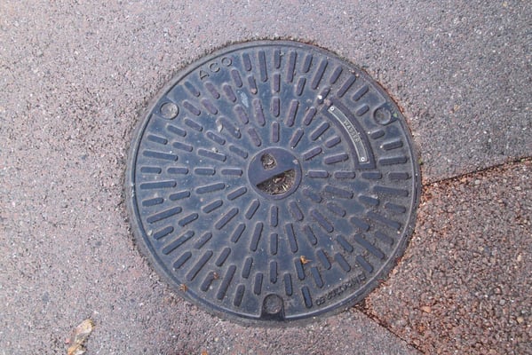 alle im Zoo Zürich gesehen und fotografiert