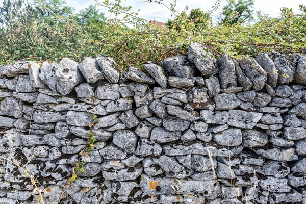 emblématiques murets de pierres causses du Quercy ; crédits : L.Berton