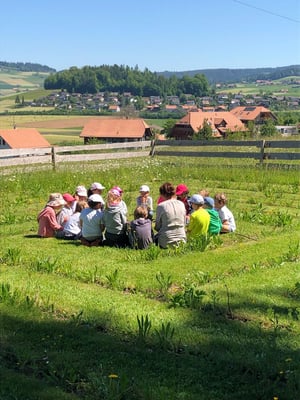 Schulklasse im Labyrinth