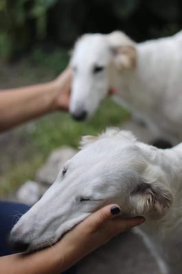 TADAA und im Hintergrund Halbschwester Schneeflocke