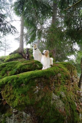 Kiwi & Savannah & Schneemann