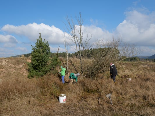Während des Pfütengrabens.... (Foto: W. Schulze)