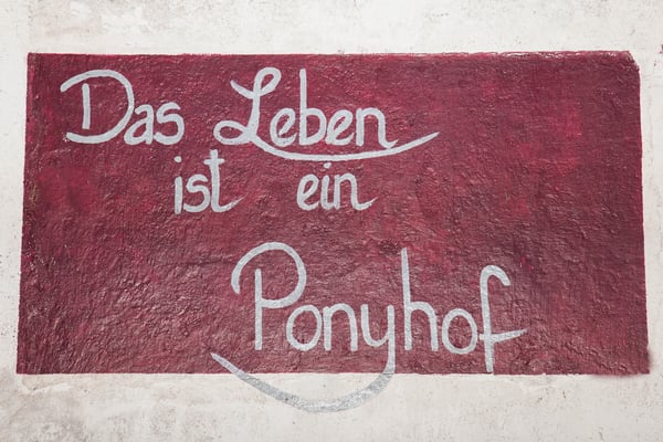 Hof Meyer Oldendorf, Das Leben ist ein Ponyhof ;-)