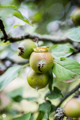 Eheringe- Fotografie