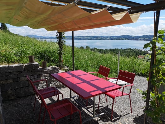 metallisch 13 Pergola mit Regendach