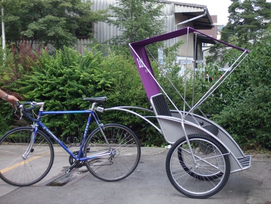 metallisch 6 Rikscha mit Verdeck