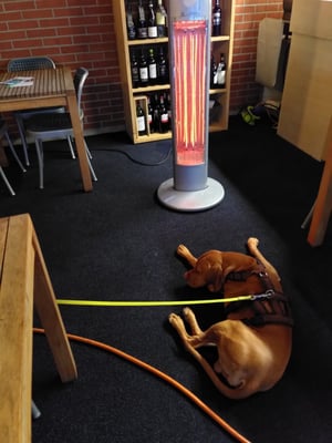 Wohlige Wärme im Hafeglöggli 