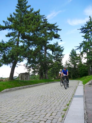 5_心地よい野上の松並木の街道