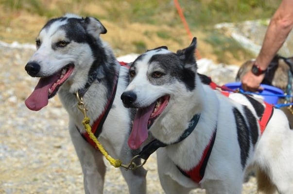 Wieder einspannen und kurz wässern.