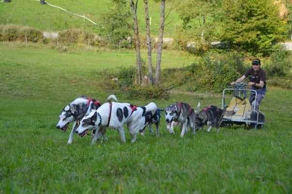 Noch steiler nach oben...