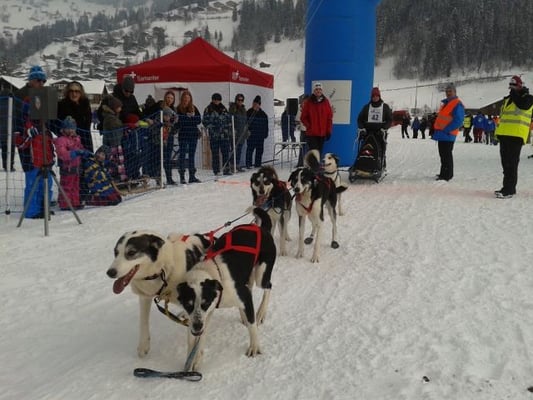 Gaby's Team am Start.