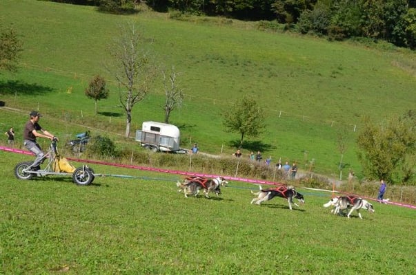 Querfeldein, mit interessierten Zuschauern.